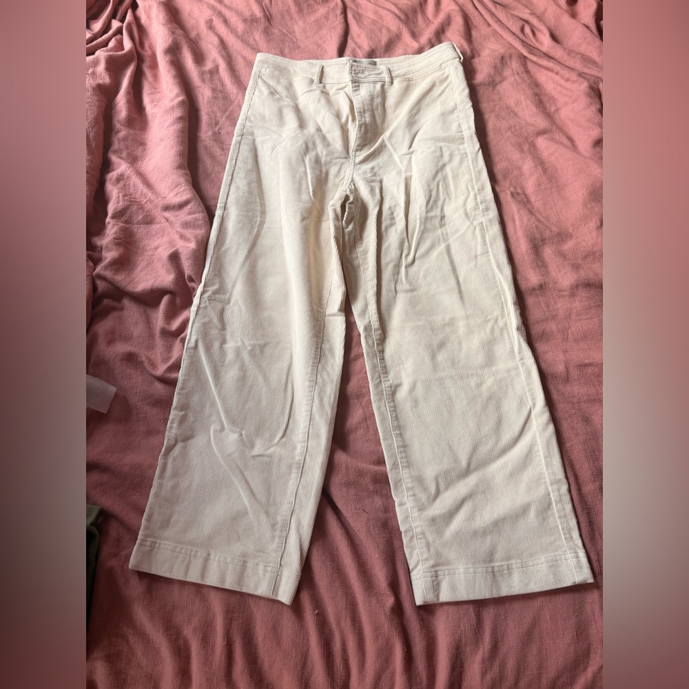 everlane corduroy straight let pants
